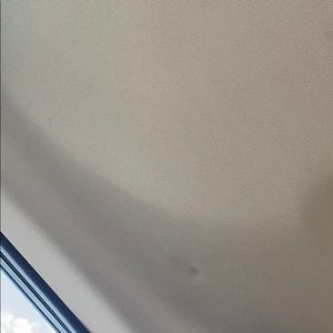 Meet your Posher, Bailey